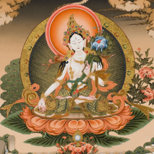 Meditation, Compassion, and the Science of Transformation // Teacher Training
