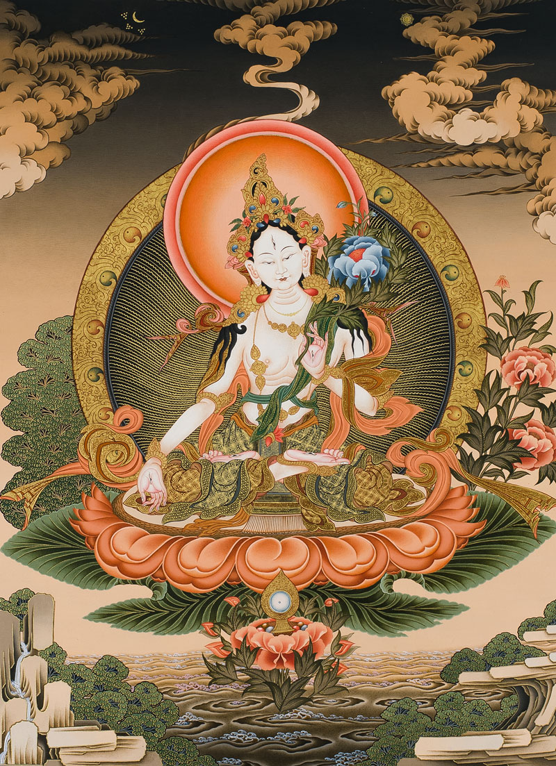 Meditation, Compassion, and the Science of Transformation // Teacher Training
