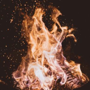 Bhuta-Shuddhi - the great purification: a yogic fast to renew life