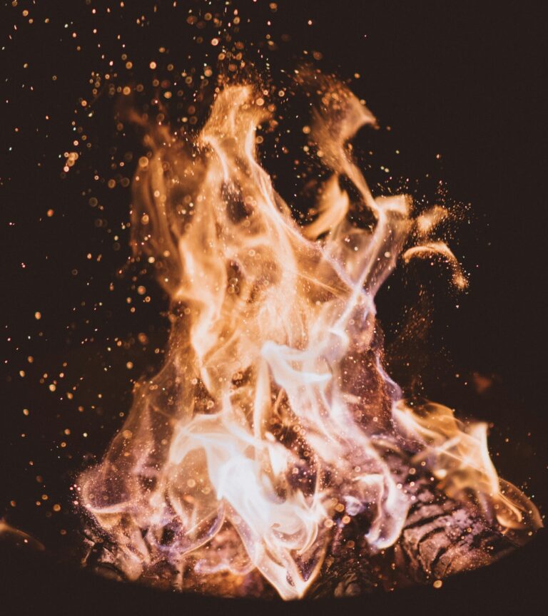 Bhuta-Shuddhi – the great purification: a yogic fast to renew life