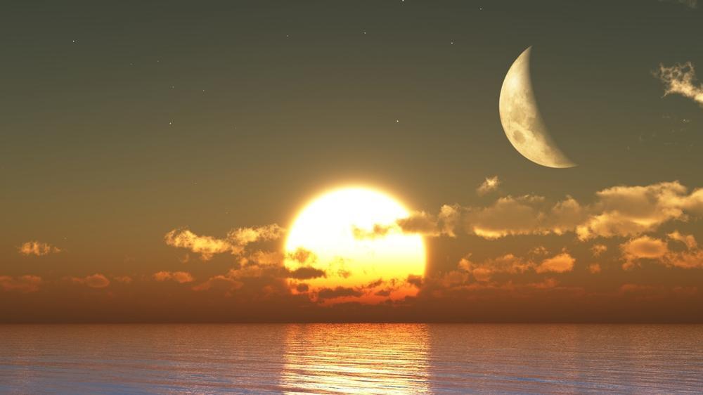 Hormones, Lifestyle & Love: How Biochemical Balance Shapes Our Relationships