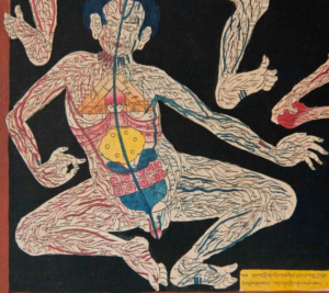 The nervous system, prana and personality change